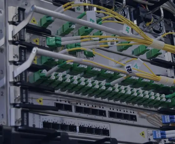Distribuidor de fibra óptica con conectores y latiguillos organizados